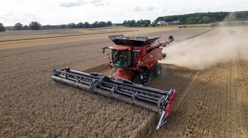 Case IH Axial-Flow Mähdrescher von oben beim Weizendrusch