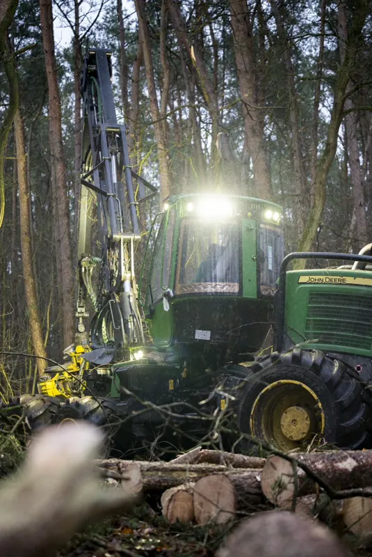 John Deere Harvester mit Arbeitsscheinwerfern im Kiefernwald